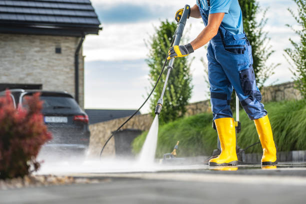 Best Animal Enclosure Cleaning  in Daingerfield, TX